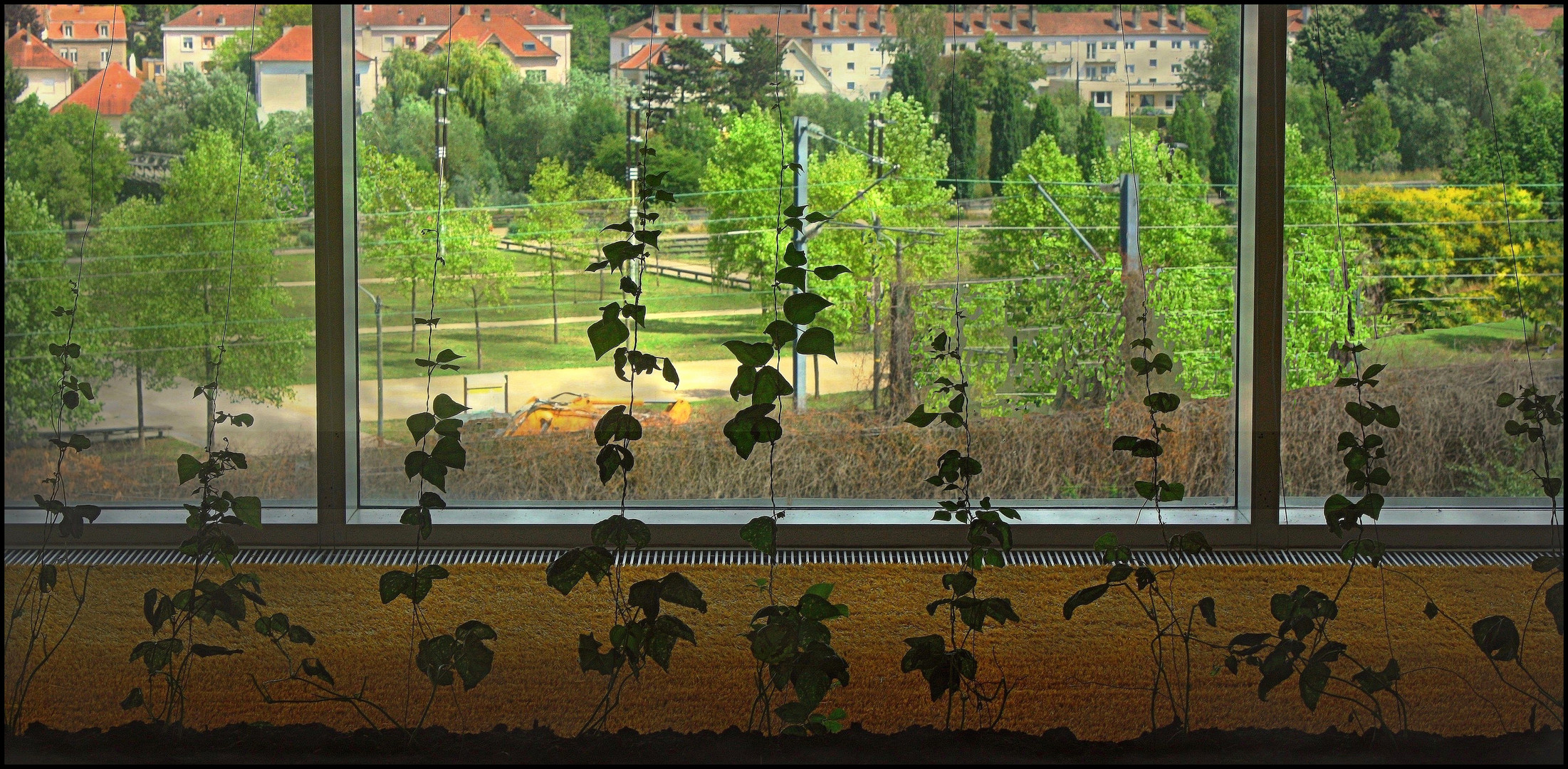 Plantations au musée