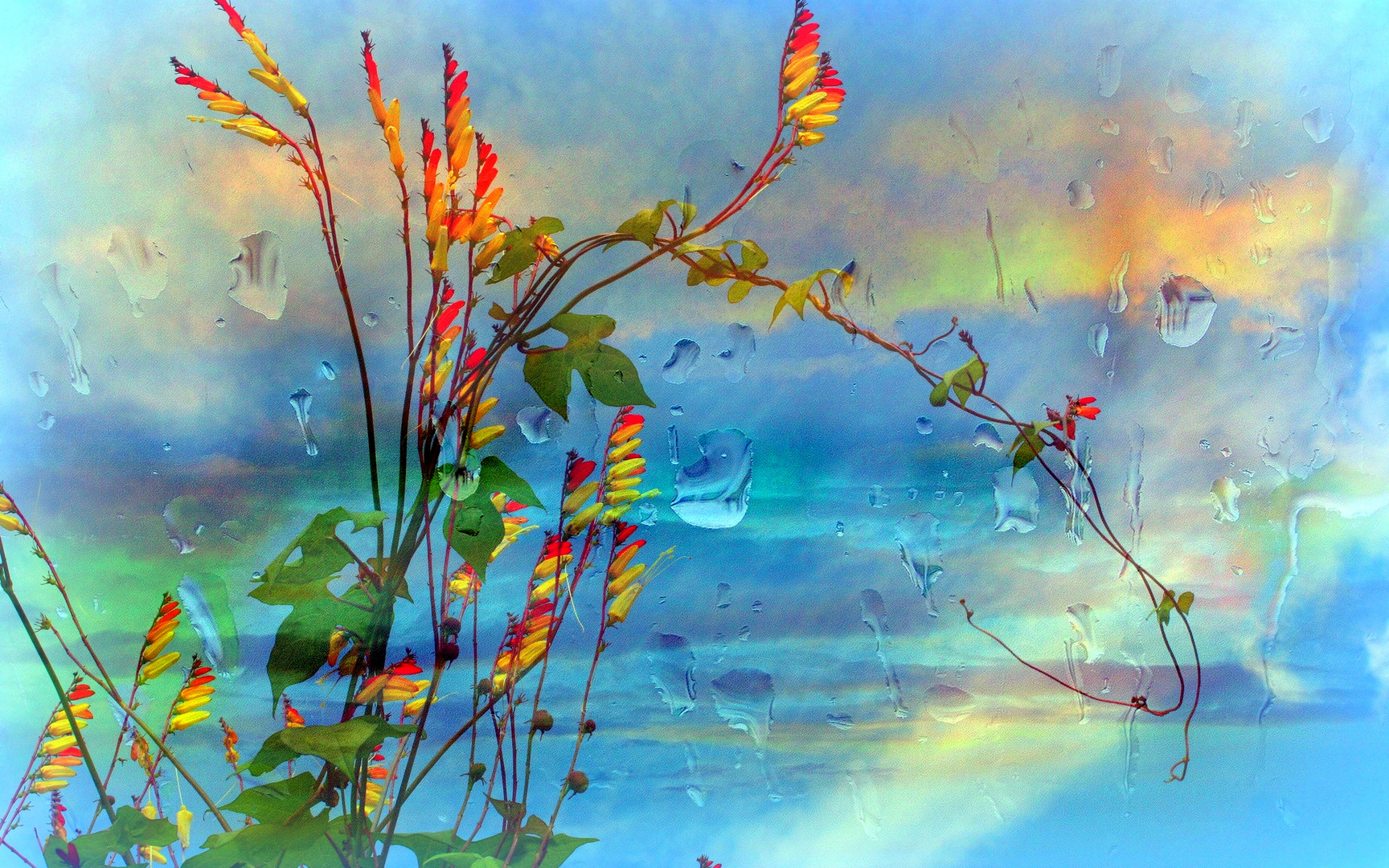 Plante en fleurs sous la pluie  