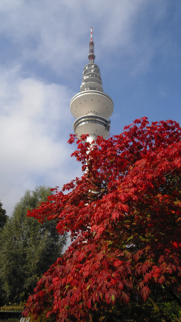 Planten & Blomen, Hamburg