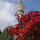 Planten & Blomen, Hamburg