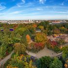 Planten & Blomen im Herbst