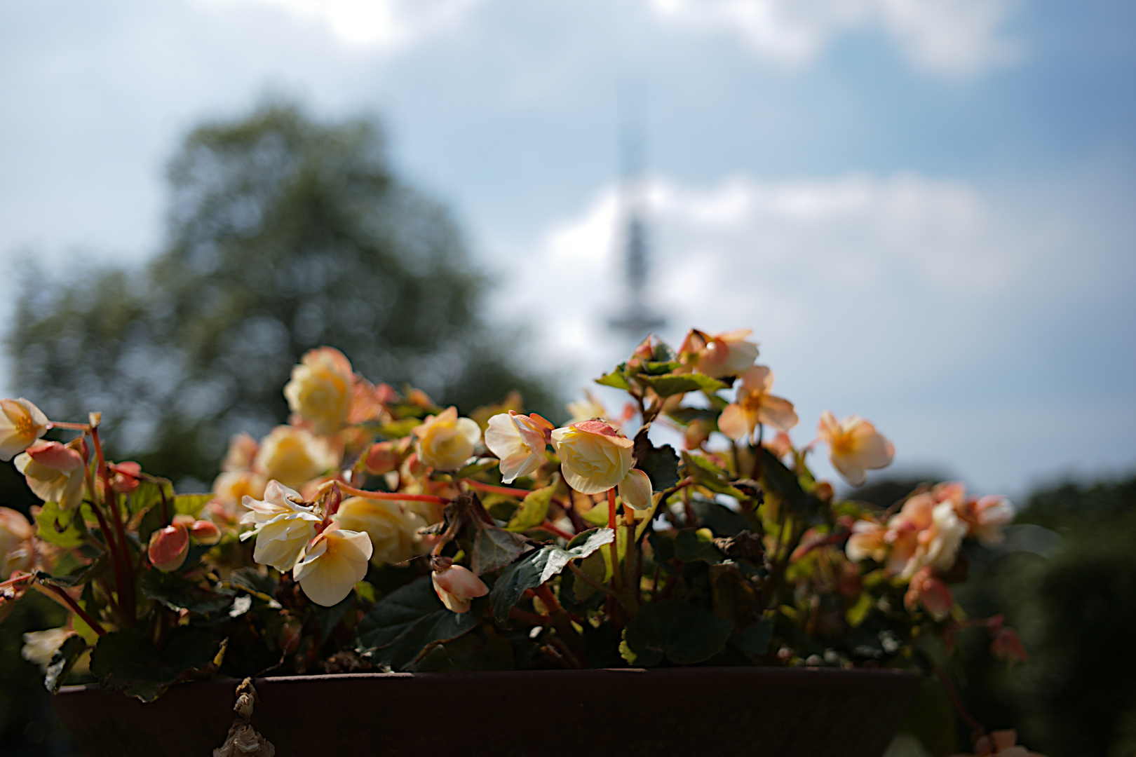 Planten un Blomen 2021 - 7