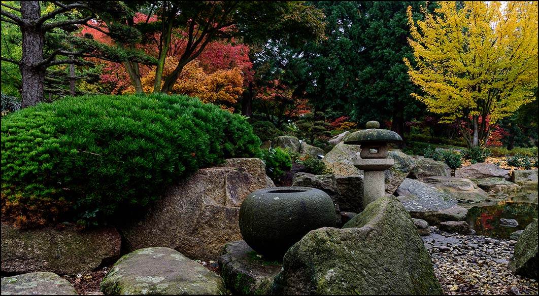 Planten un Blomen