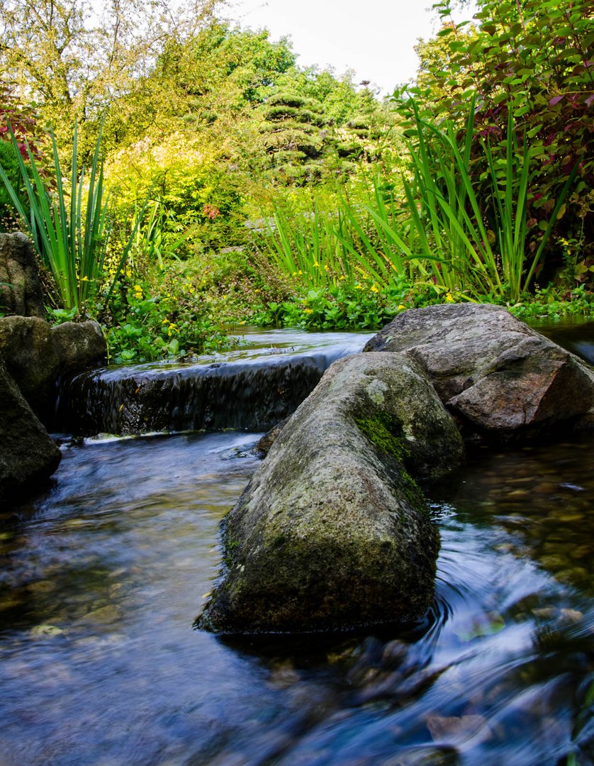 Planten un Blomen