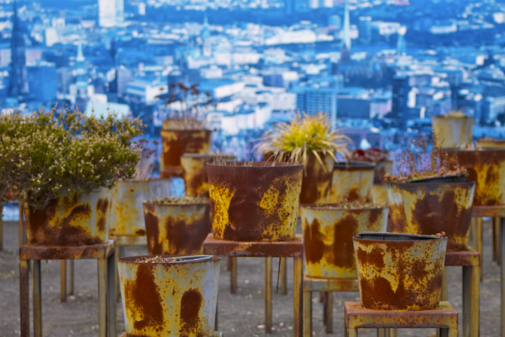 Planten un Blomen