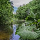 Planten un Blomen Hamburg