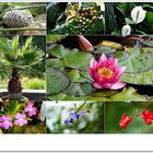 Planten un Blomen Hamburg