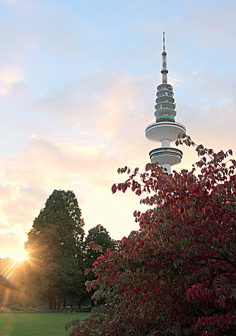 Planten un Blomen im Herbst