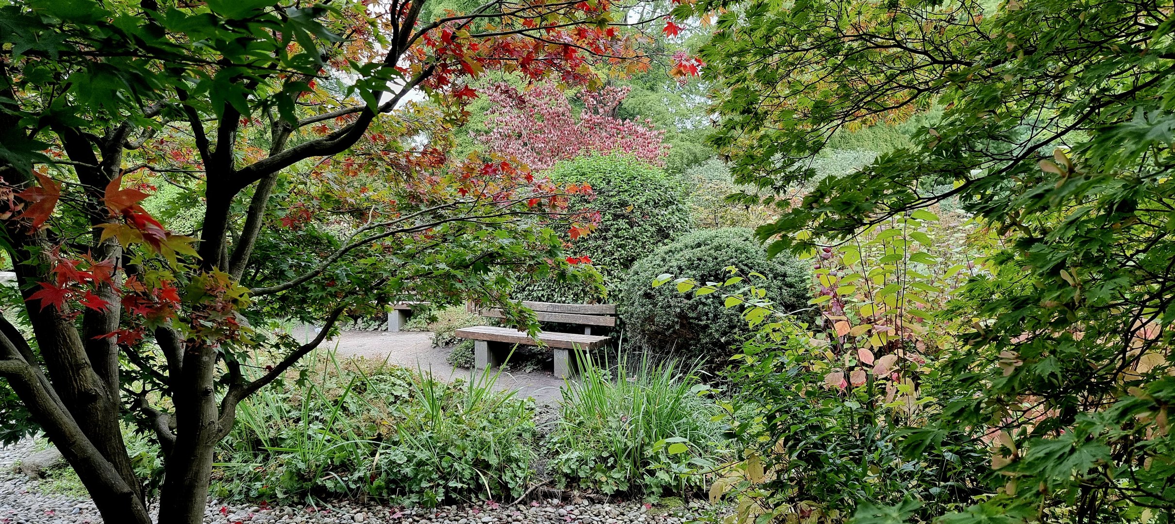 Planten un Blomen im Herbst 