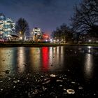 Planten un Blomen im Winter