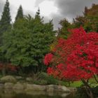 Planten un Blomen in Hamburg