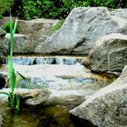 Planten un Blomen - Japanischer Garten 1