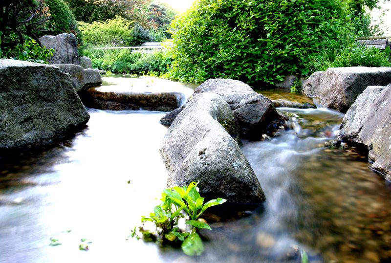 Planten un Blomen - Japanischer Garten 3