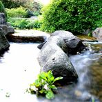 Planten un Blomen - Japanischer Garten 3