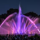 Planten un Blomen - Wasserlichtkonzert 3