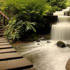 Planten un Blomen - Wassertreppe