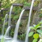 "Planten un Blomen" - Waterfall N°2