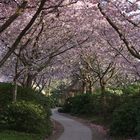 Planten un Blomen_Hamburg