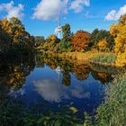 Planten un Bnlomen im Herbst