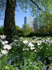 Planten und Bloomen