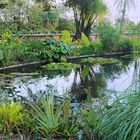 Plantes aquatiques au Jardin du Val Rahmeh