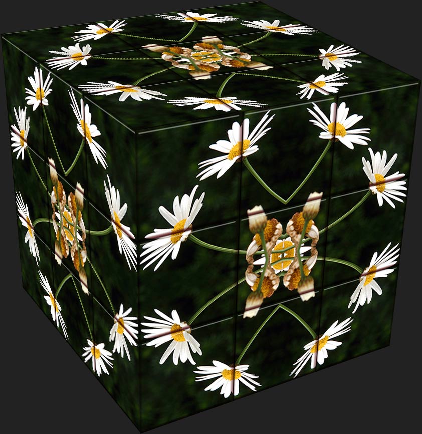 plants in a cube