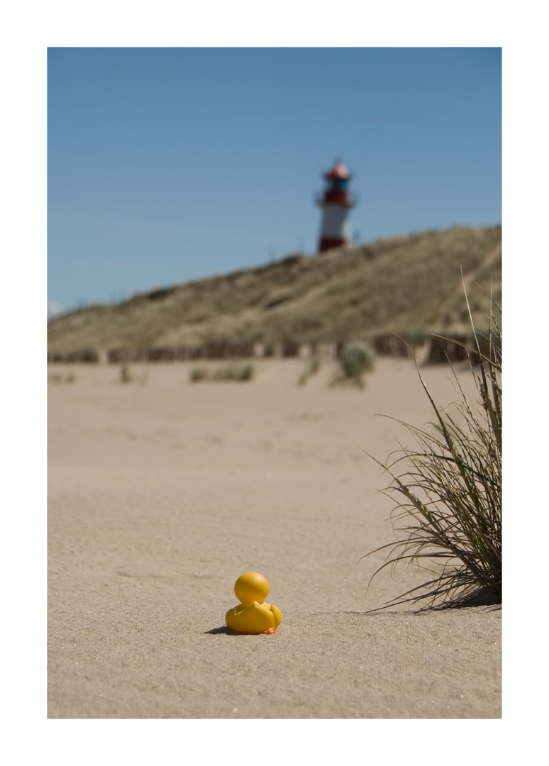 Plantschi auf Sylt