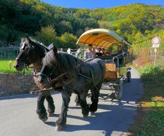 Planwagenfahrt im Herbst