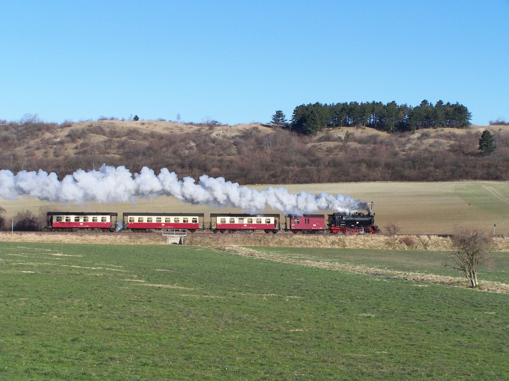 Planzug der Harzer Schmalspurbahn zwischen Bad Suderode und Gernrode