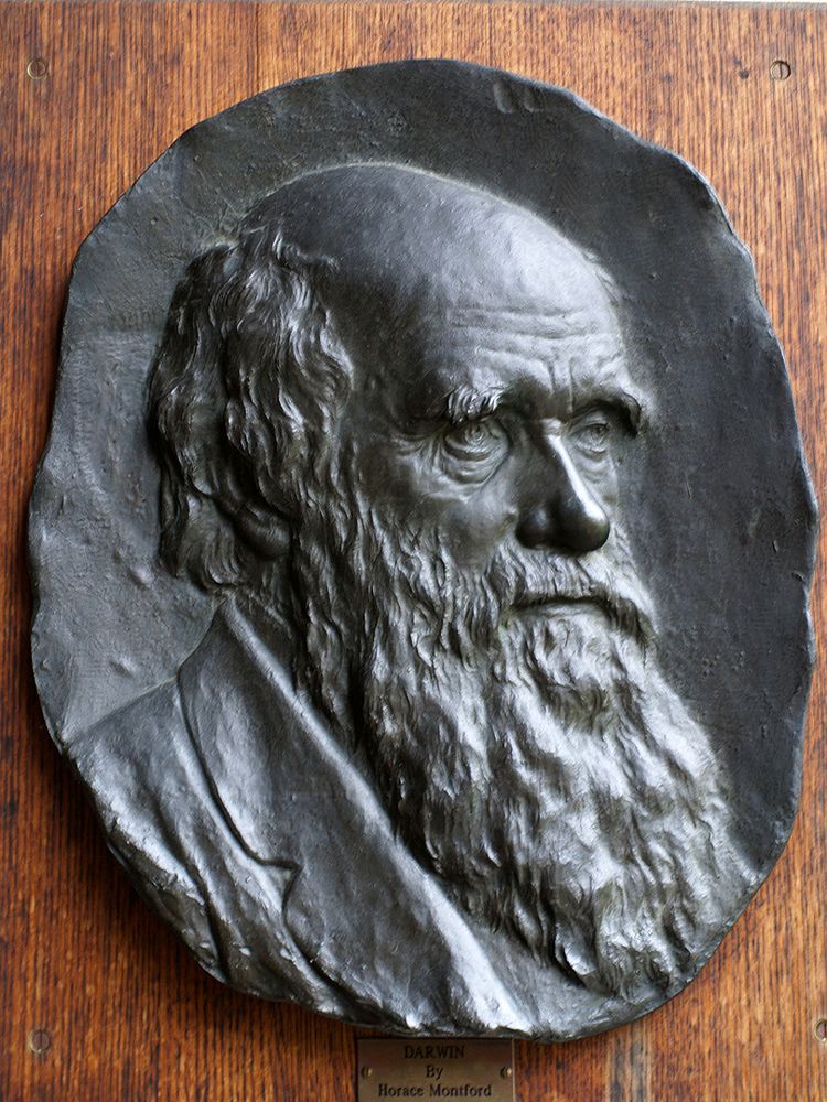 Plaque commémorative de  Charles Darwin à l’entrée de Christ’s College 