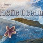 Plastic Ocean Postkarte
