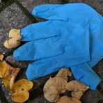 Plastik – Handschuhe, fast an jeder Ecke 02