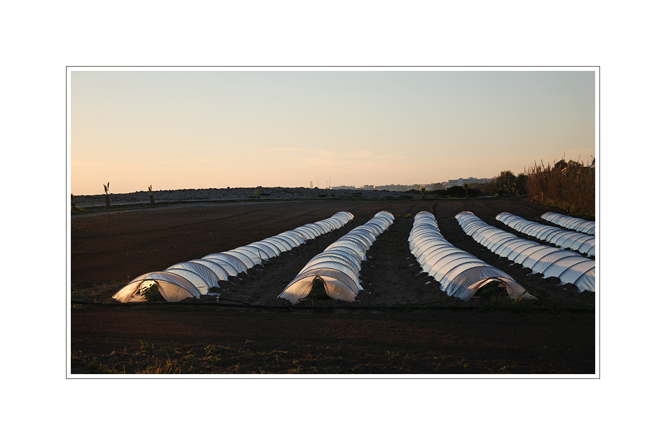 Plastik-Landwirtschaft