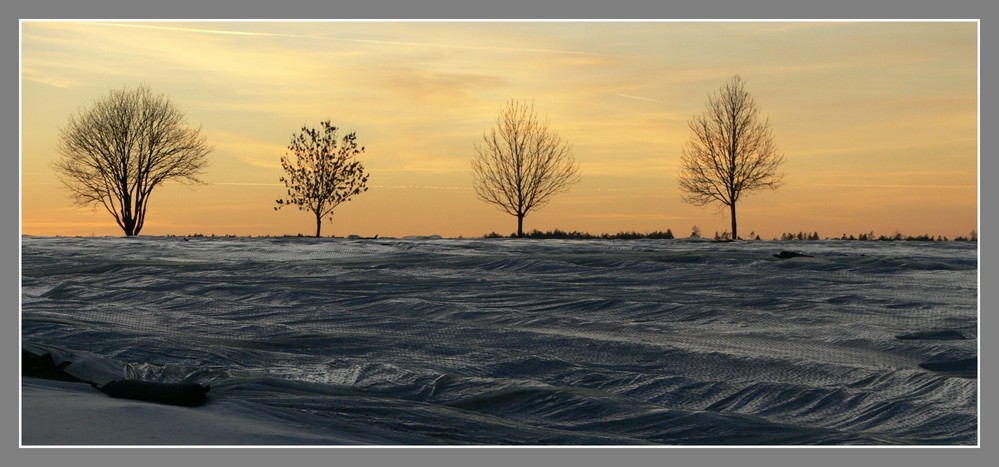 Plastik-Planen-See vor Abendhimmel