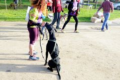 Plataforma de Afectados por LA ELARedELA Patas por LA ELA CARRERA_20161211_Rafael Munoz_29