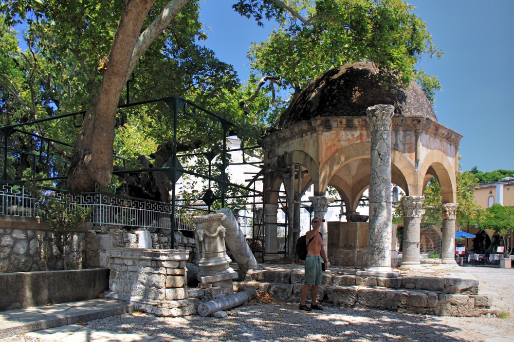 Platane des Hippokrates Foto & Bild europe, greece, the dodecanese