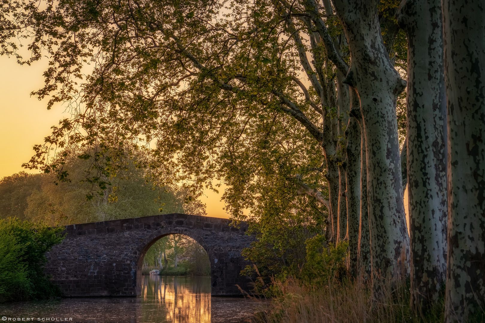 Platanen am Canal de Midi 