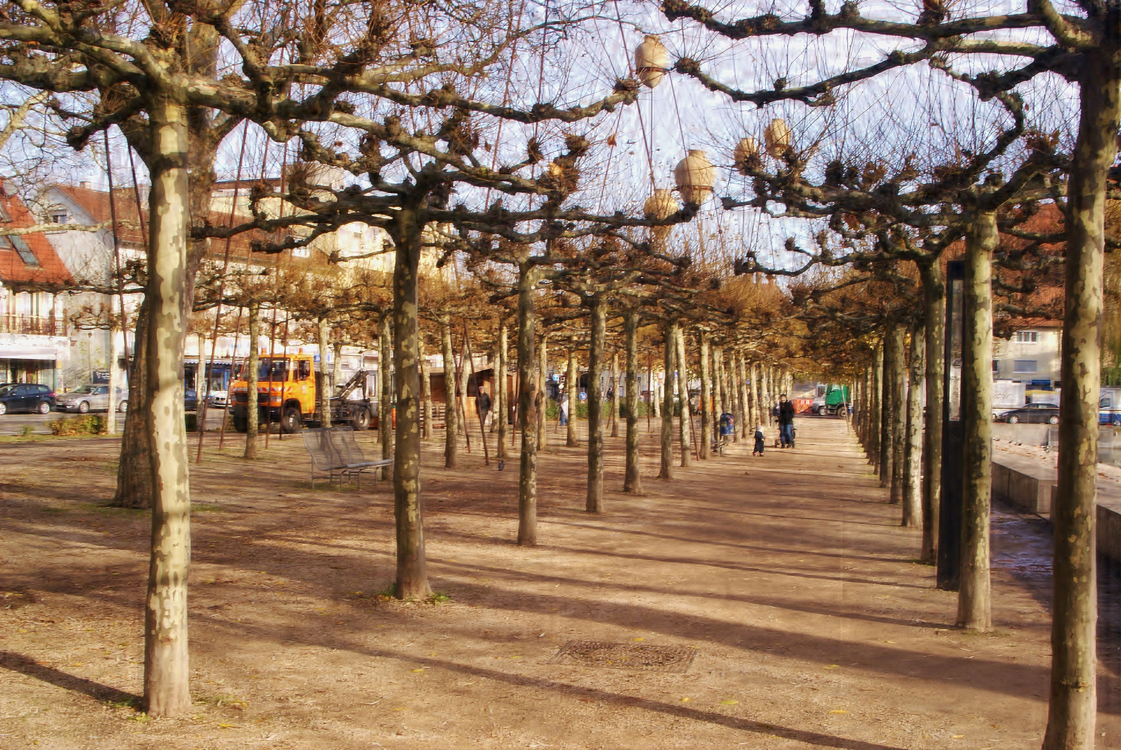 Platanenallee (2)