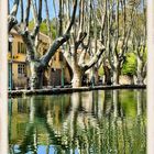 Platanes en reflets