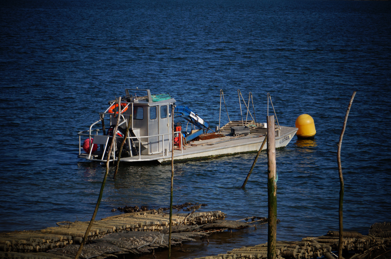 Plate - Bassin d'Arcachon