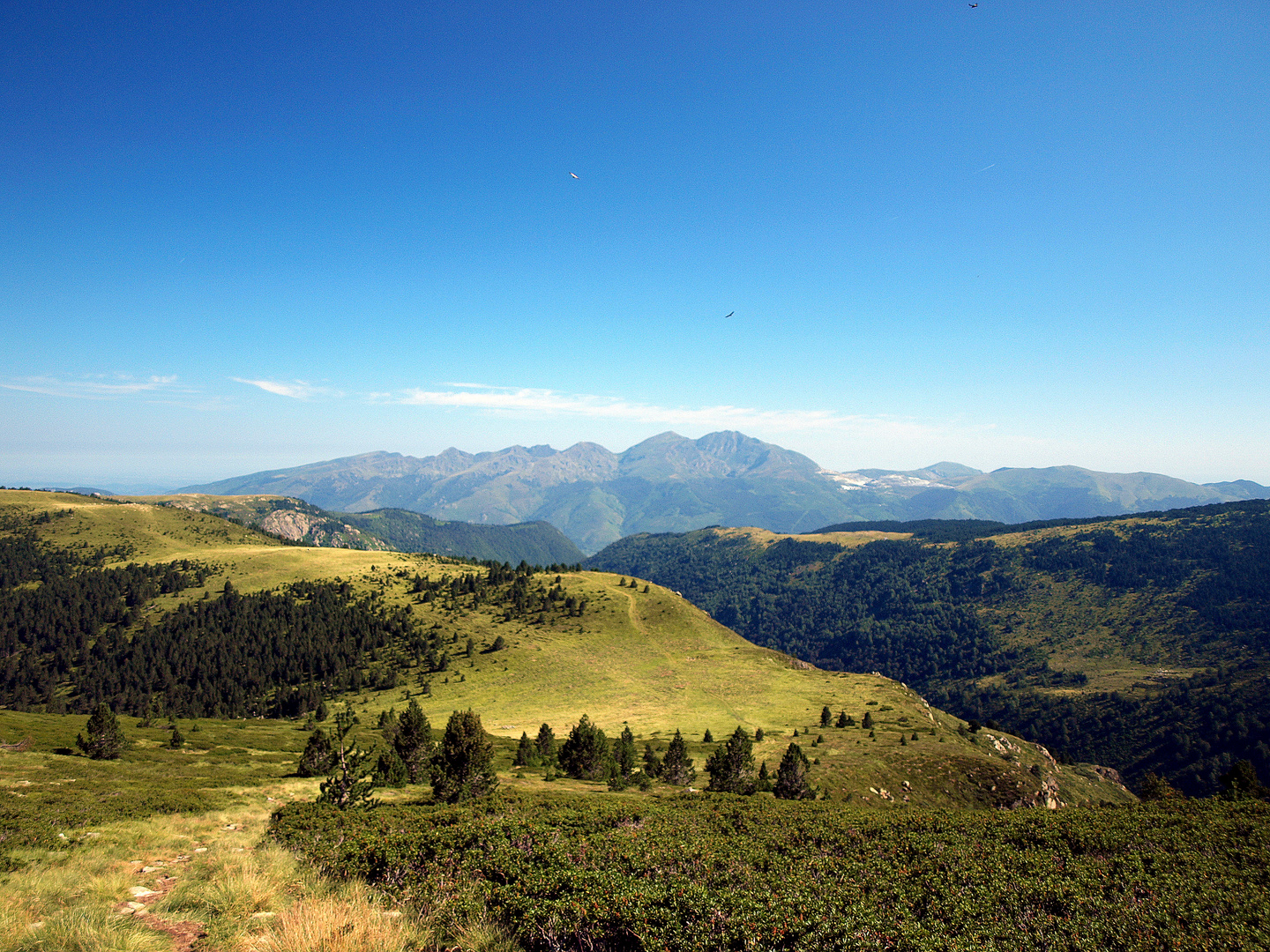 Plateau de Beille (Pyrénées Ariégeoise) 