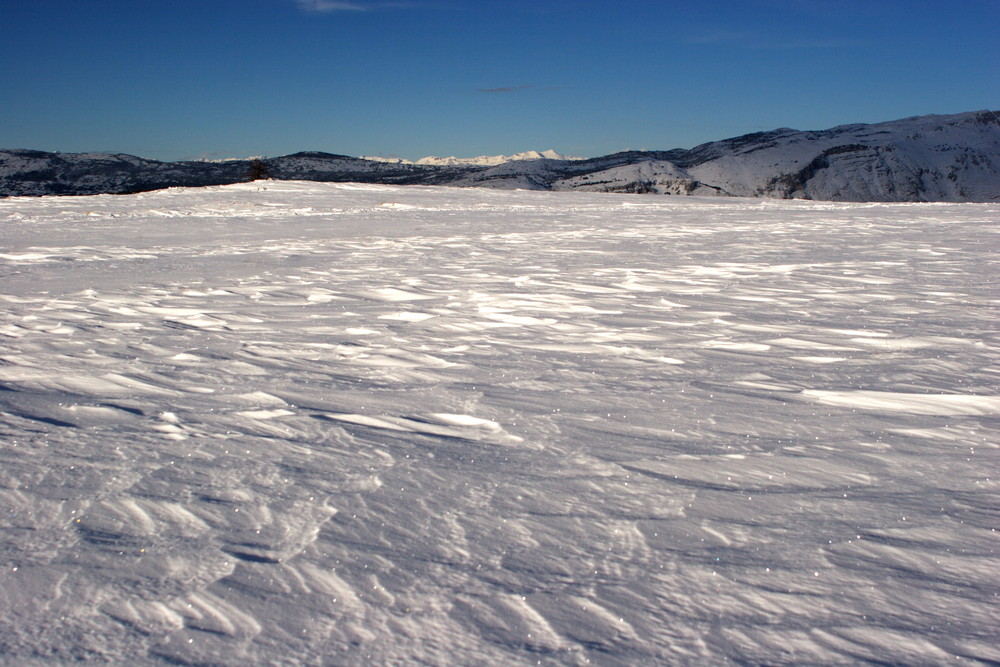 plateau de caussol