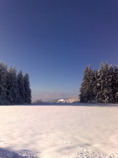 Plateau de Chamdray, Vosges