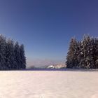 Plateau de Chamdray, Vosges