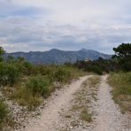plateau de languillar