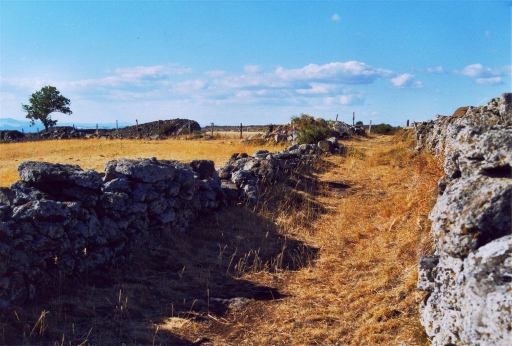 Plateau de Monastier