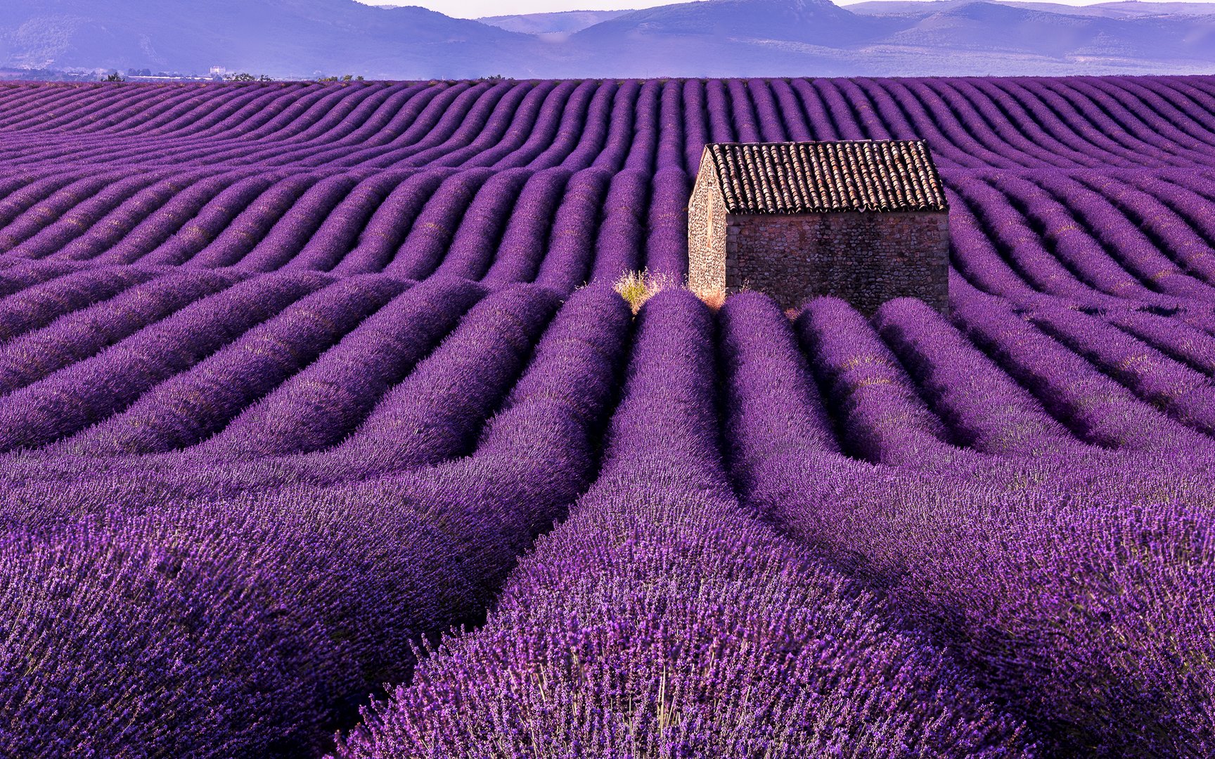 "Plateau de Valensole"