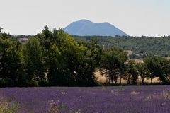 Plateau de Valensole