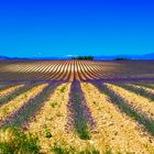 Plateau de Valensole