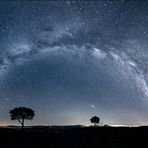 Plateau de Valensole